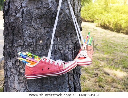 Foto d'archivio: Red Retro Sneakers With Loose Braids On A Blue Wooden Background