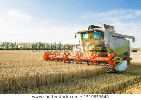 Stockfoto: Combine Harvester Machine Harvesting Ripe Wheat Crops