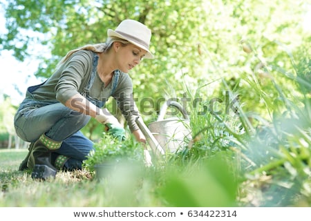 Stock foto: Woman Gardening