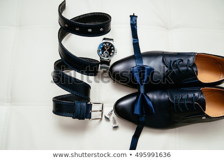 Stockfoto: Groom Set Clothes Watch Shoes Bow Tie