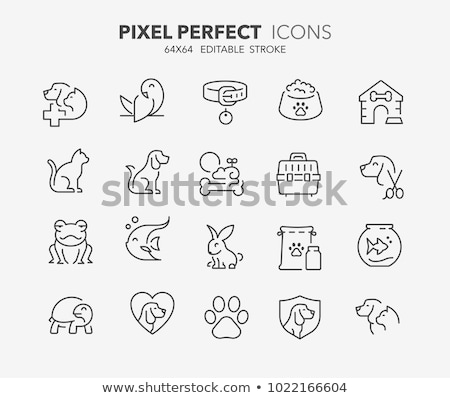 Foto stock: Pet Icons Set