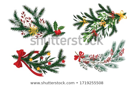 [[stock_photo]]: Christmas Fir Trees In Park Decorated Spruces