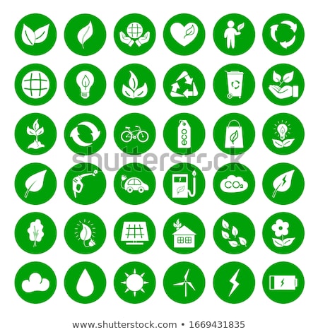 Stock fotó: Protected Green Vector Icon Design