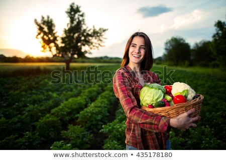 Zdjęcia stock: A Female Holding A Basket Of Vegetables