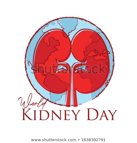 Zdjęcia stock: Poster Kidney Day Water