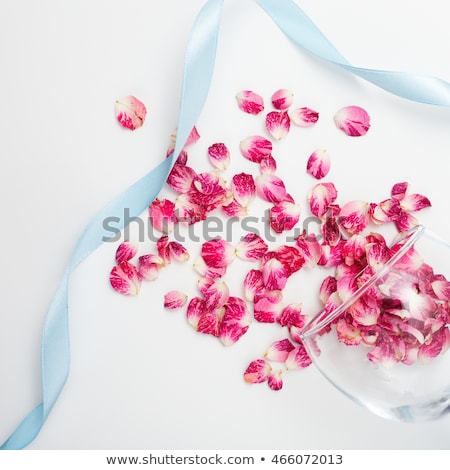 Stock fotó: Delicate Petals Of A Rose With A Glass And A Blue Ribbon