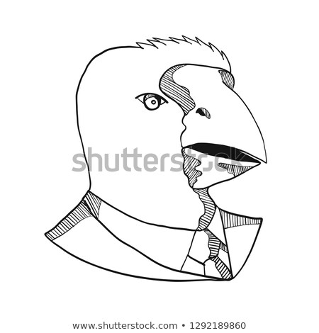 Foto stock: South Island Takahe In Business Suit Drawing