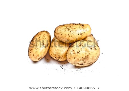 Stock foto: Newly Harvested Potatoes And Soil Isolated On White Background