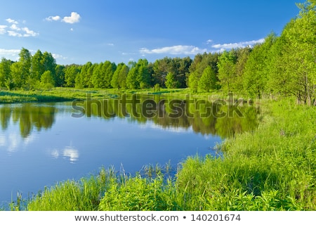 The Last Wild Places Flood Waters Of Narew River Foto stock © bogumil