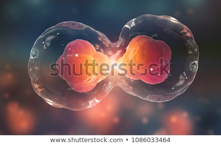 Stock photo: Cell Division