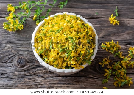 Foto stock: St Johns Wort