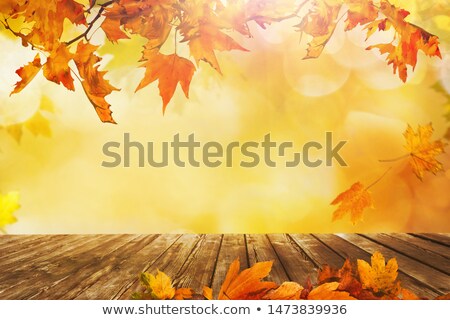 Zdjęcia stock: Vibrant Autumn Fall Season Leaves On Rustic Wood Background