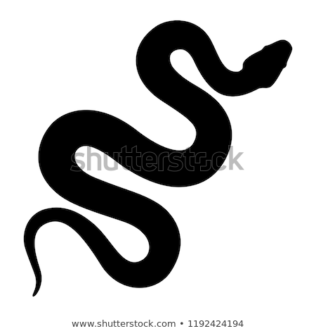 Zdjęcia stock: Snake Crawling In The Garden