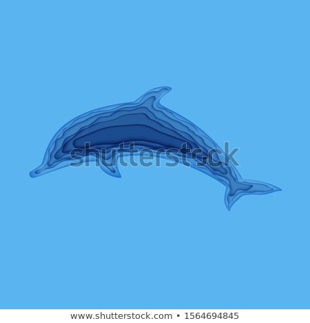 Foto stock: Wildlife Day Card Of Whale Swimming Underwater