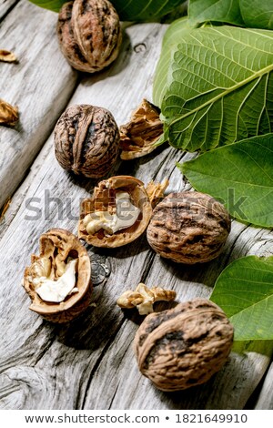 [[stock_photo]]: Oix · entières · et · concassées · avec · des · coquilles · de · noix · sur · les · grains