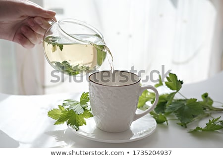 Stock photo: Blackcurrant Tea