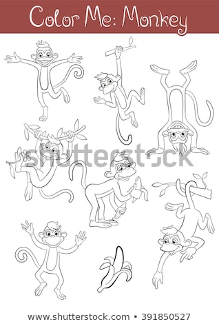 [[stock_photo]]: Differences Color Book With Monkeys Animal Characters