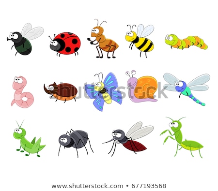 Сток-фото: Funny Cartoon Insects Animal Characters Set