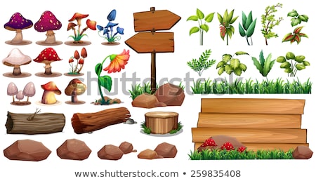 Stockfoto: Mushrooms And Trees And Flowers