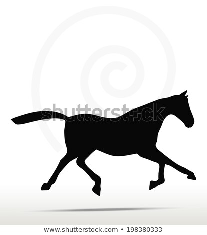 ストックフォト: Horse Silhouette In Fast Trot Position
