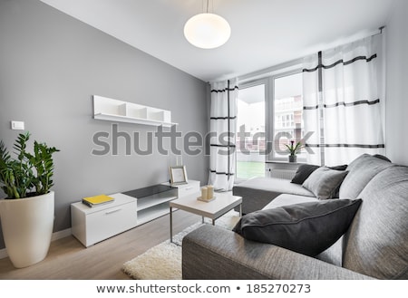 Stock fotó: Beautiful Modern Living Room Decor With Wooden Door And Grey Curtain Background