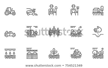 Stok fotoğraf: Grain Truck And Tractor Set Vector Illustration