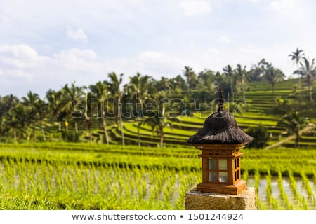 Foto d'archivio: Small Altar At Rice Fields Of Jatiluwih In Southeast Bali