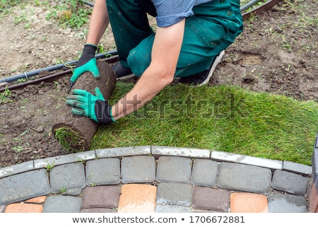 Stock photo: Male Landscape Gardener