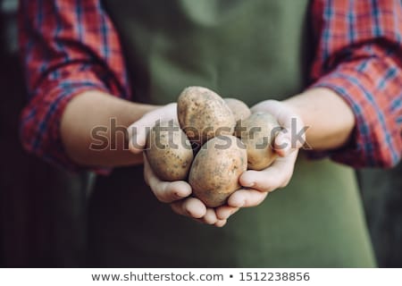 Stock fotó: Farmer Holding Potato