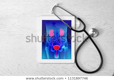 Сток-фото: Tablet With The Medical Specialty Urology On The Display