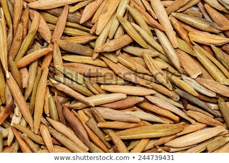 Foto stock: Wrightia Tinctoria Indarjao Or Ivory Wood