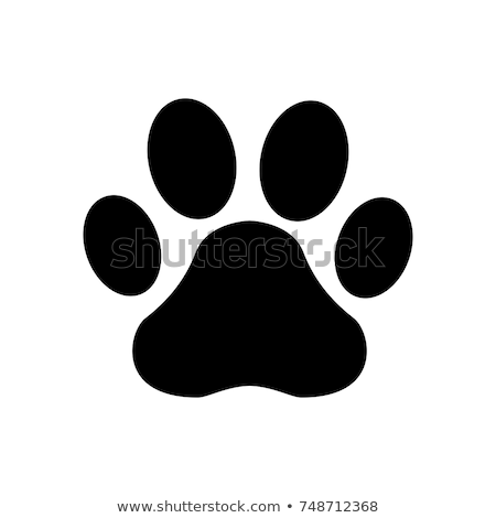 Stock fotó: Paw Icon