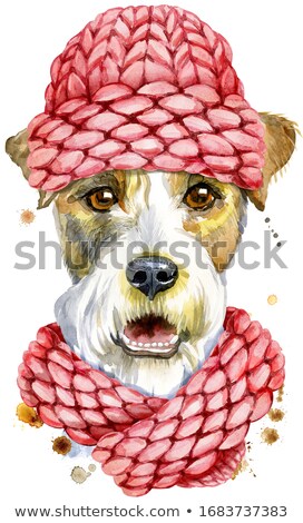 Stock photo: Watercolor Portrait Of Airedale Terrier Dog With Pink Knitted Hat