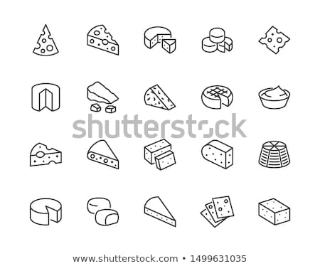 Piece Of Hard Cheese Icon Vector Outline Illustration Stock foto © Nadiinko