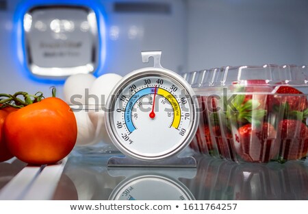 Foto stock: Thermometer For Refrigerator