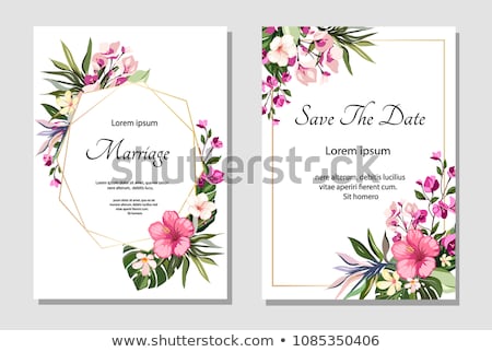 Foto stock: A Hibiscus Flower Frame