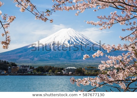 Zdjęcia stock: Mount Fuji