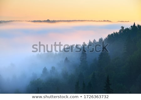 Foto stock: Autumn Landscape With Fog Tree And Birds