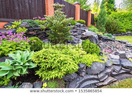 Stok fotoğraf: Landscaping Rock