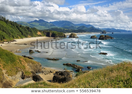 ストックフォト: Haystack Rocks And The Needles At Cannon Beach