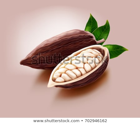 Stockfoto: Ripe Cocoa Pods For Chocolate