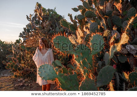 Foto stock: Young Beautiful Woman Dressed In Western Style