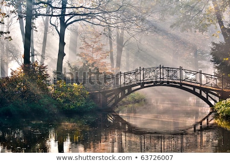 Stock foto: Morning Light On The Bridge