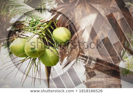 Coconuts On The Market Zdjęcia stock © winnond