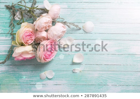 Сток-фото: Fresh Rose Flowers On Gray