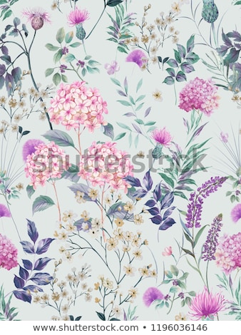 Stockfoto: Watercolor Pattern With Violet Flowers