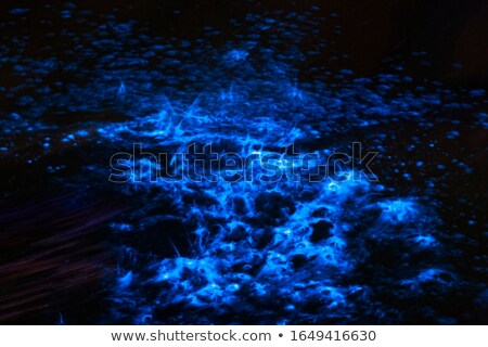 Foto stock: Bioluminescence Sea Sparkle In Ocean Tide