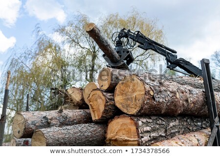 Foto stock: Logging Tractor