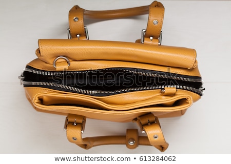 ストックフォト: Zipper On Brown Leather