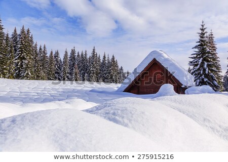 ストックフォト: Winter Holiday House In Slovenia Alps